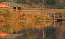 Dorsey Farm