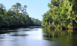 Deep Creek Plantation