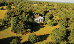 Longpine Plantation