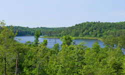 White Oak Valley Plantation