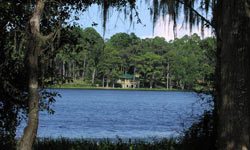 Honey Lake Plantation