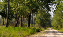 Wacissa Conservancy