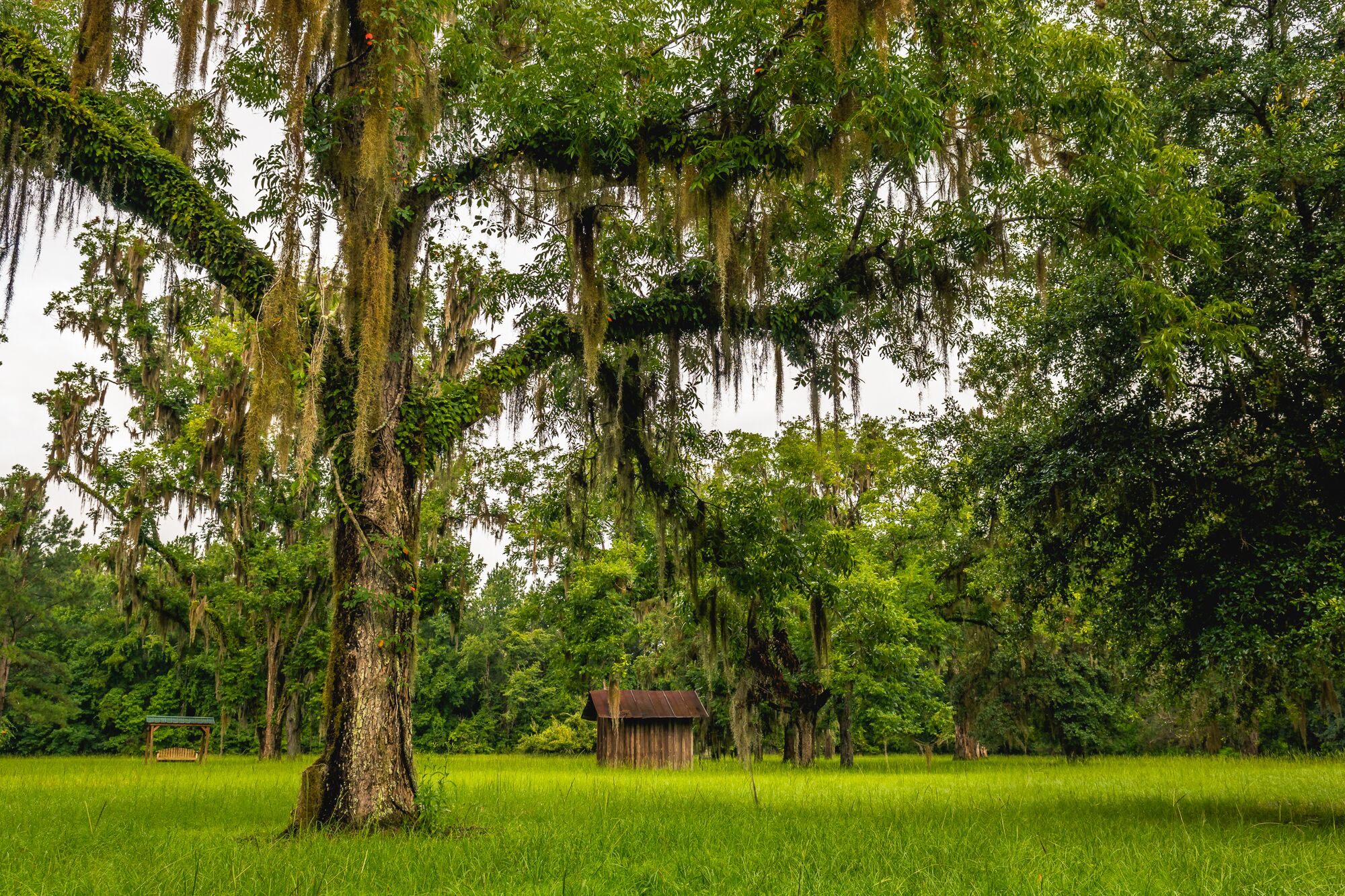 Deep Creek Plantation Galleries Jon Kohler & Associates