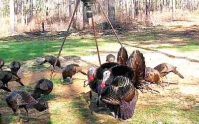 February 2025 – Deer season is closed…it’s time to get to work!