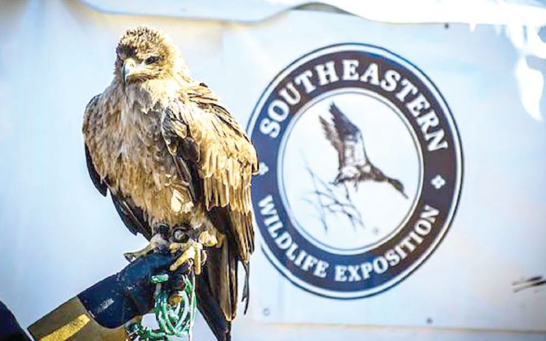 January 2025 – A Celebration of Conservation