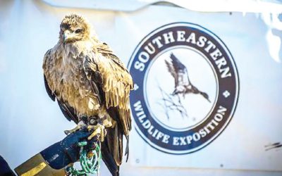 January 2025 – A Celebration of Conservation