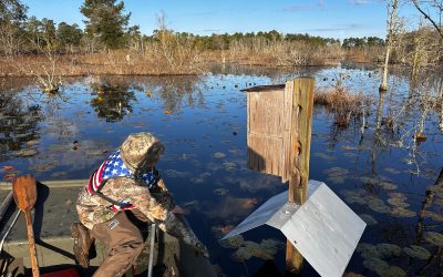 God, Guests, and Good Stewardship