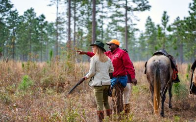 Are We God’s Hunting Dogs?