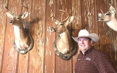 If Solomon was a deer hunter