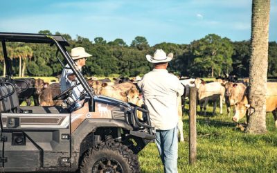 A look at agricultural exemptions in Florida