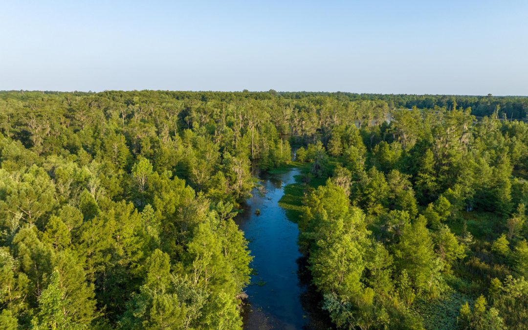 Do You Know What Your Land Is Really Worth?